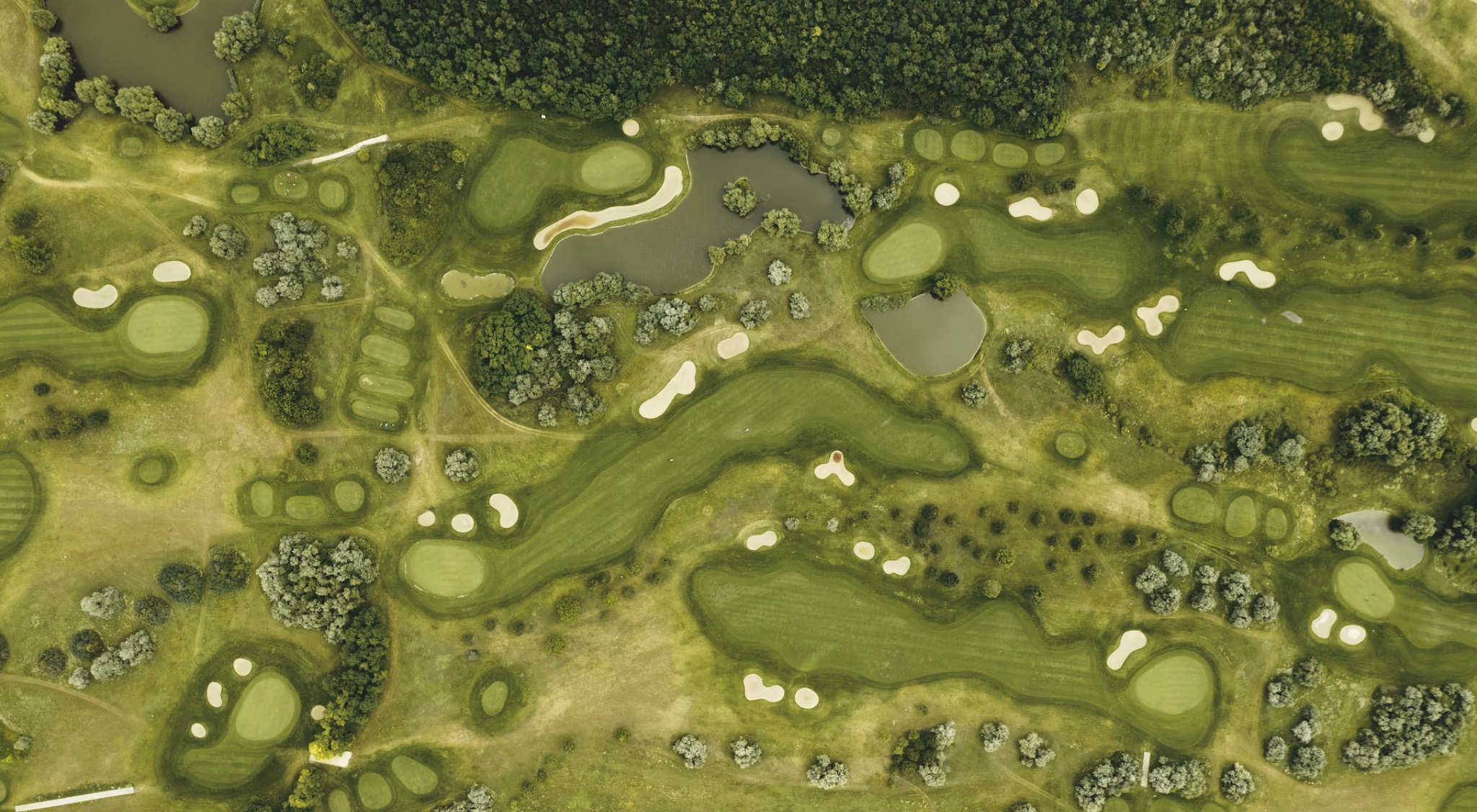 terrain golf sport de riche